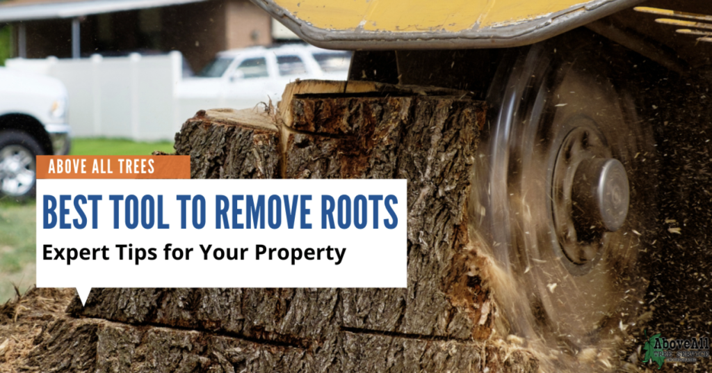 Tools to Safely Remove Tree Roots